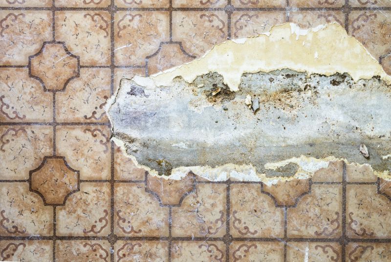 Professional Experience